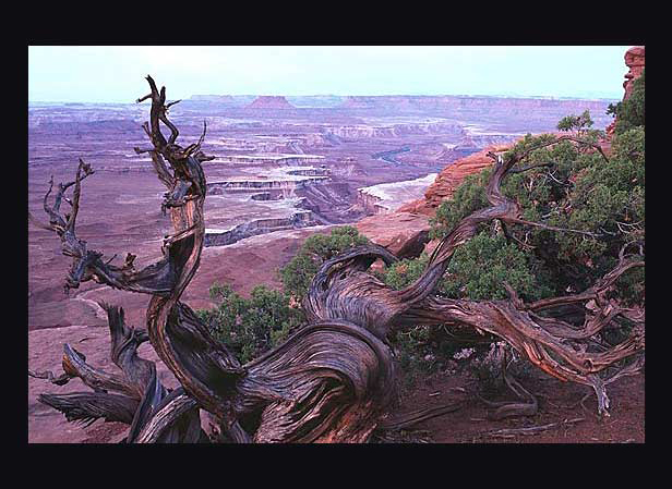 Canyonlands Utah �