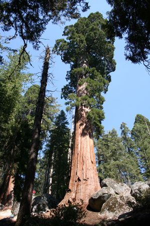 Parc de Squoia 