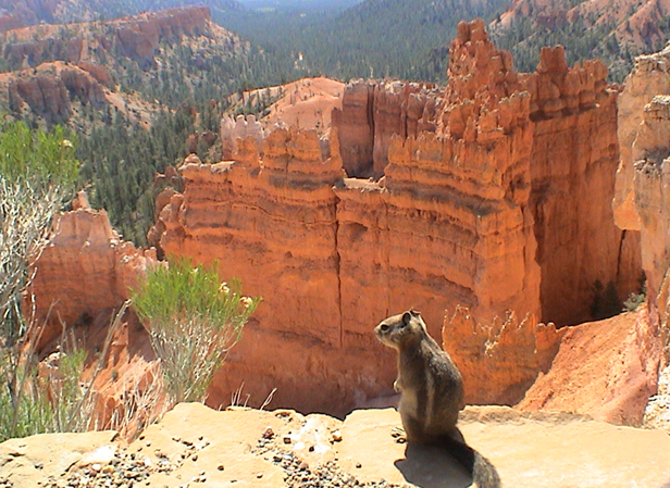 Bryce Canyon 
